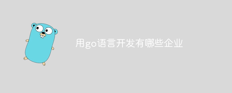 用go语言开发有哪些企业