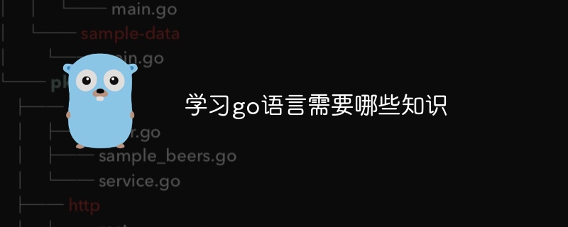学习go语言需要哪些知识
