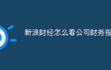 新浪财经怎么看公司财务报表