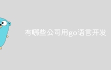 有哪些公司用go语言开发
