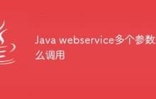 Java webservice多个参数怎么调用