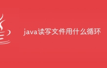java读写文件用什么循环