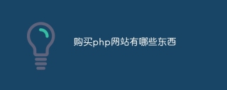 购买php网站有哪些东西