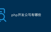 php开发公司有哪些