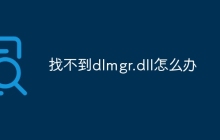 找不到dlmgr.dll怎么办