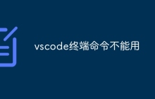 vscode终端命令不能用