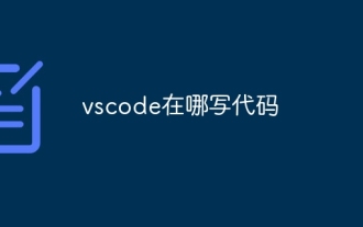 Where to write code in vscode