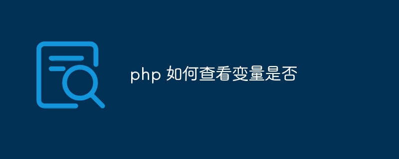 php 如何查看变量是否