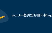 word一整页空白删不掉wps