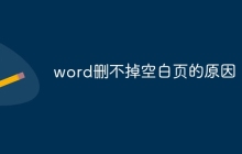 word删不掉空白页的原因