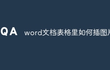 word文档表格里如何插图片