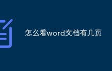 怎么看word文档有几页