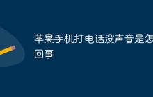 苹果手机打电话没声音是怎么回事