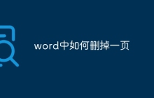 word中如何删掉一页