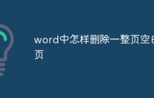word中怎样删除一整页空白页