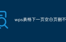 wps表格下一页空白页删不掉