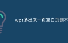 wps多出来一页空白页删不掉