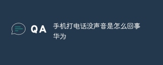 소리없이 휴대폰을 호출하는 것이 잘못된 것은 무엇입니까?