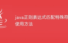 java正则表达式匹配特殊符号使用方法