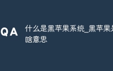 什么是黑苹果系统_黑苹果是啥意思