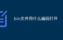 bin文件用什么编码打开