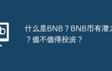 什么是BNB？BNB币有潜力吗？值不值得投资？
