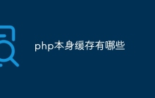 php本身缓存有哪些