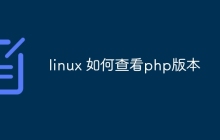 linux 如何查看php版本