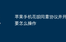 苹果手机花呗同意协议并开通要怎么操作