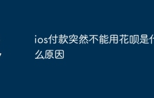 ios付款突然不能用花呗是什么原因