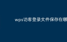 wps访客登录文件保存在哪