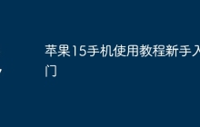 苹果15手机使用教程新手入门