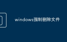 windows强制删除文件