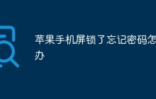 苹果手机屏锁了忘记密码怎么办