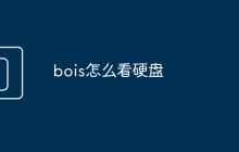 bois怎么看硬盘