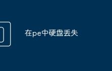 在pe中硬盘丢失