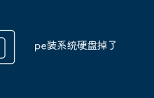 pe装系统硬盘掉了