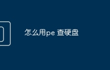怎么用pe 查硬盘