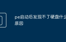 pe启动后发现不了硬盘什么原因