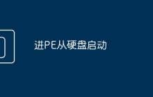 进PE从硬盘启动