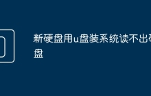 新硬盘用u盘装系统读不出硬盘