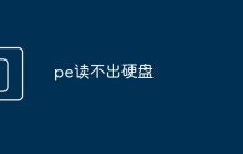 pe读不出硬盘