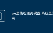 pe里能检测到硬盘,系统里没有