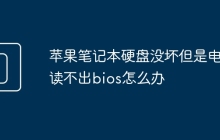 苹果笔记本硬盘没坏但是电脑读不出bios怎么办