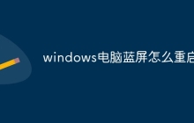 windows电脑蓝屏怎么重启
