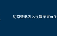 动态壁纸怎么设置苹果xr手机