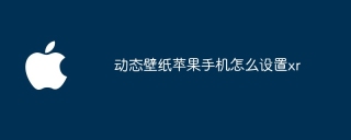 动态壁纸苹果手机怎么设置xr