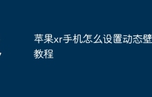 苹果xr手机怎么设置动态壁纸教程