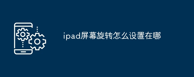 ipad屏幕旋转怎么设置在哪