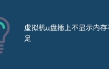 虚拟机u盘插上不显示内存不足